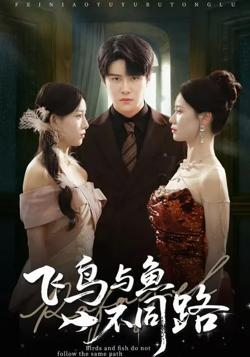 飞鸟与鱼不同路（60集）祝静怡&曲曦晨|短剧