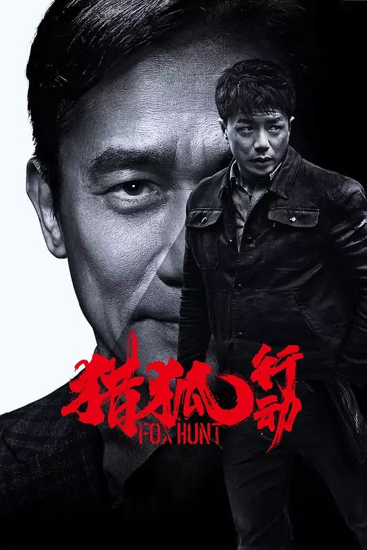 猎狐·行动 (2025) [4K 高码 60帧 HDR Vivid 杜比环绕音][主演: 段奕宏/梁朝伟]