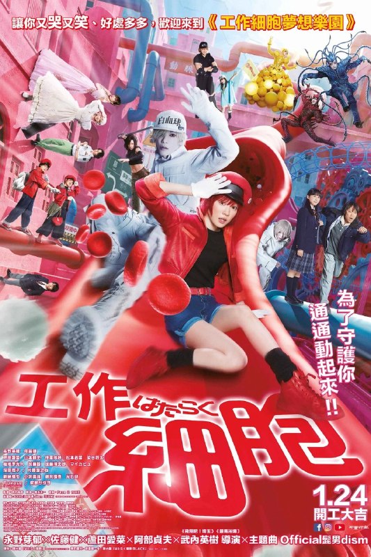 工作细胞 (2024) 1080p 原盘REMUX 中文字幕 AVC DTS-HD MA 5.1