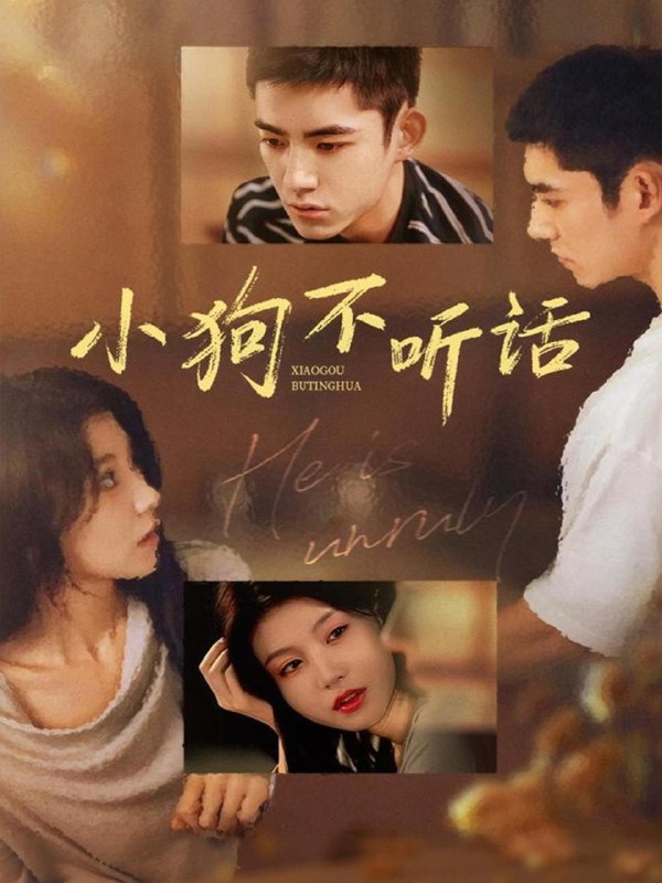 小狗不听话 (70集) 马浩东&何田田 | 短剧