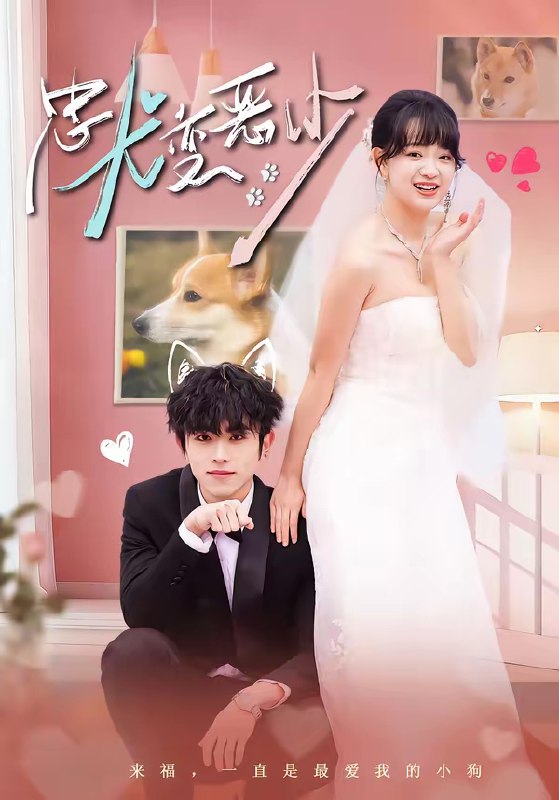 惊我家来福变恶少了&忠犬变恶少 (80集) 曹竣柯&赵影 | 短剧