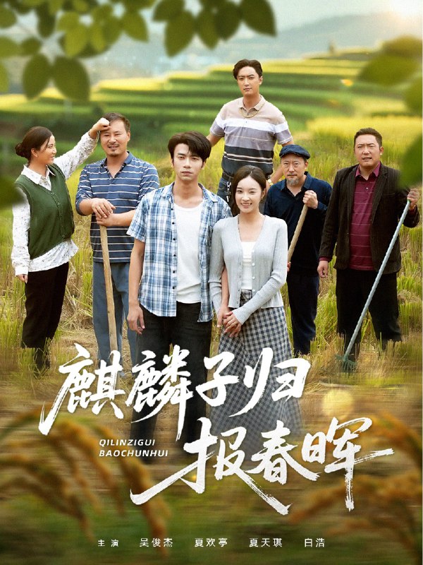 麒麟子归报春晖 (36集) 夏欢亭&吴俊杰 | 短剧