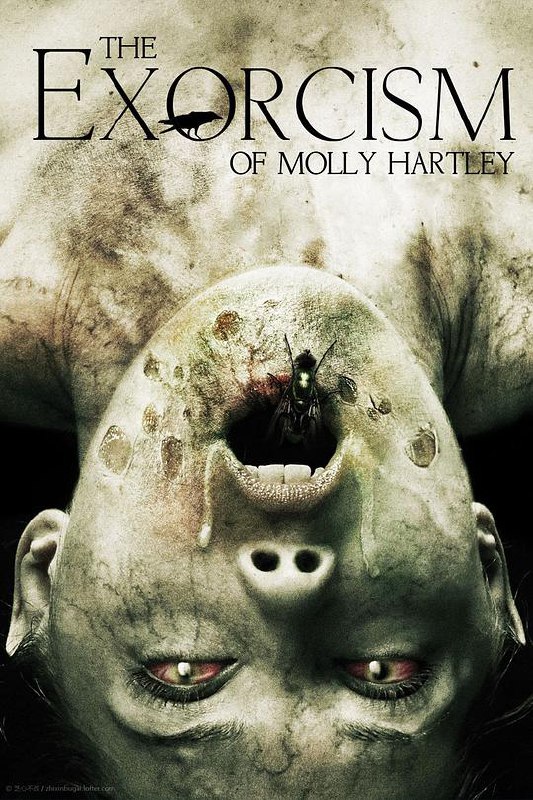 莫丽·哈特莉的驱魔 The Exorcism of Molly Hartley (2015) 1080p 原盘Remux 中文字幕 【23.18GB】已刮削