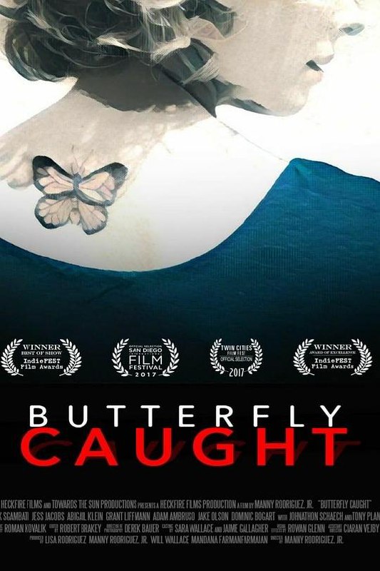 折翅蝴蝶 Butterfly Caught (2017) 1080p 原盘Remux 中文字幕 【21.34GB】已刮削