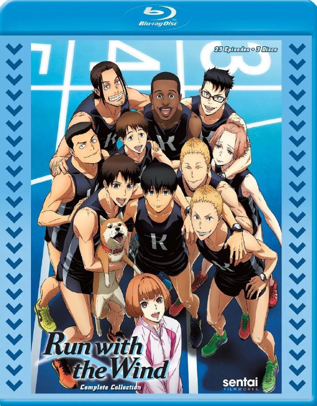 强风吹拂(2018)【23集全】【1080p 原盘REMUX】【内封简中】【动画/运动】