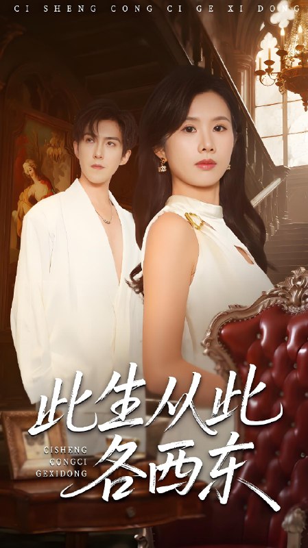 此生从此各西东 (60集) 赵宏伟&刘梦奕 | 短剧