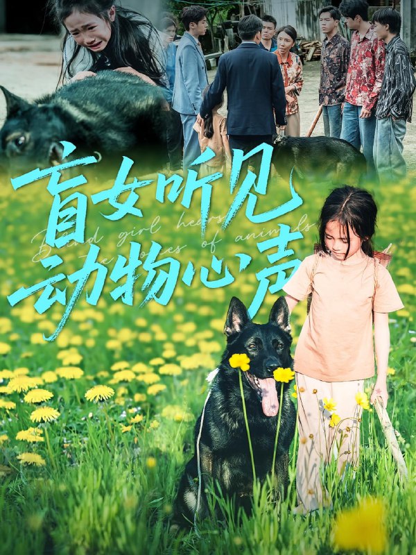 盲女听见动物心声（61集）|短剧