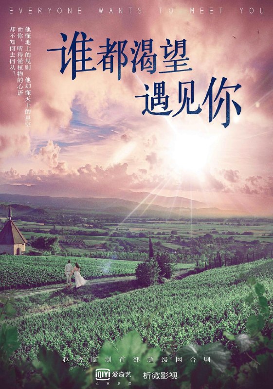 谁都渴望遇见你 全36集 国语中字 2020 1080P【国剧】
