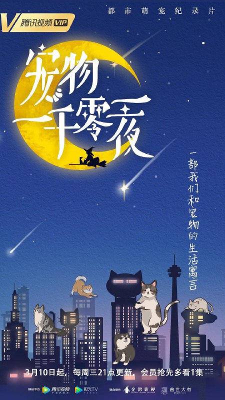 宠物一千零一夜 (2021)