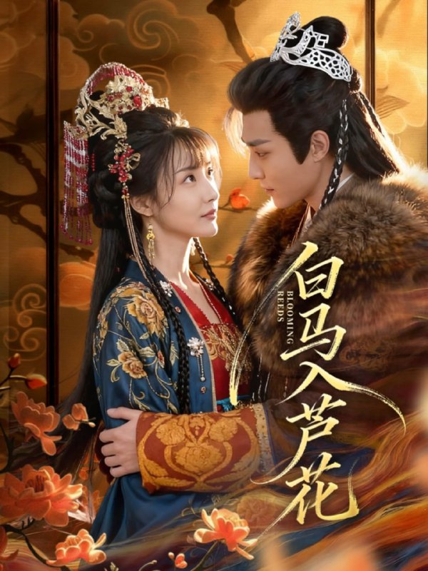 白马入芦花（59集）纪忠庆＆杨舒亦|短剧