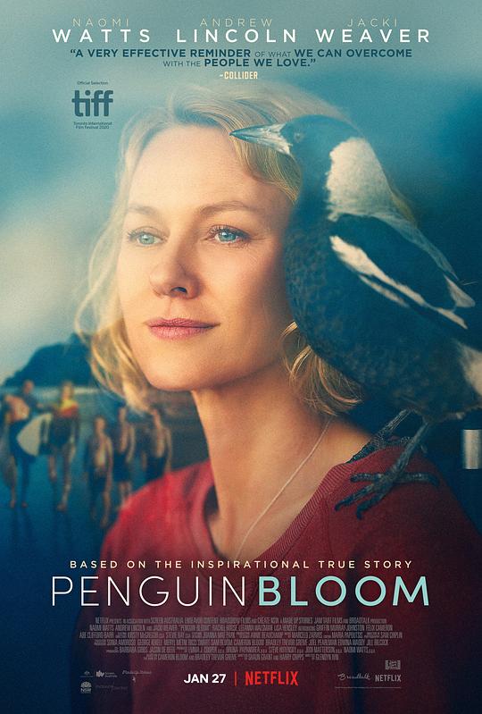 企鹅布鲁姆 Penguin Bloom (2021) 1080p 原盘Remux 中文字幕 【23.14GB】已刮削
