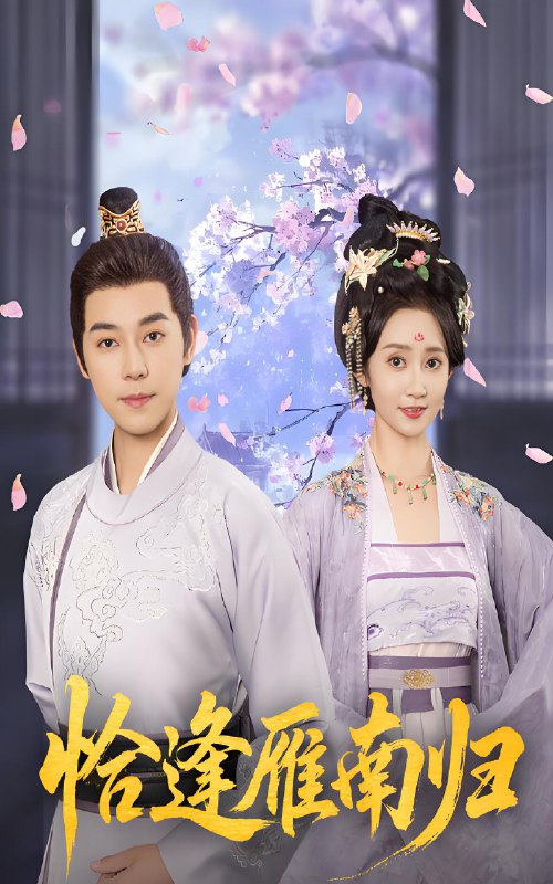 恰逢雁南归 (51集) 袁志颖&魏小也 | 短剧