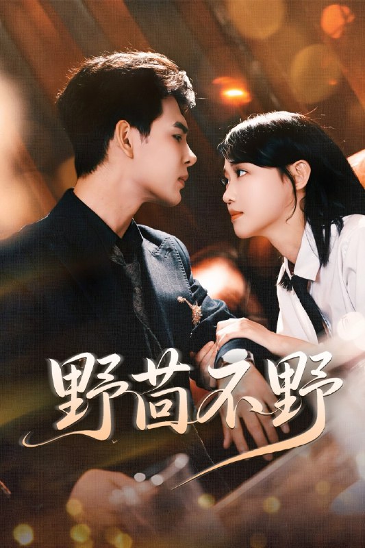 野茴不野（67集）靳旺＆龚芳妮