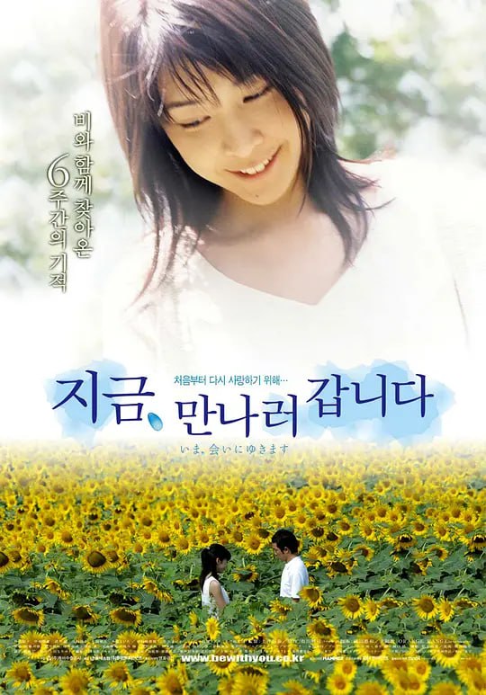 借着雨点说爱你 いま、会いにゆきます (2004)