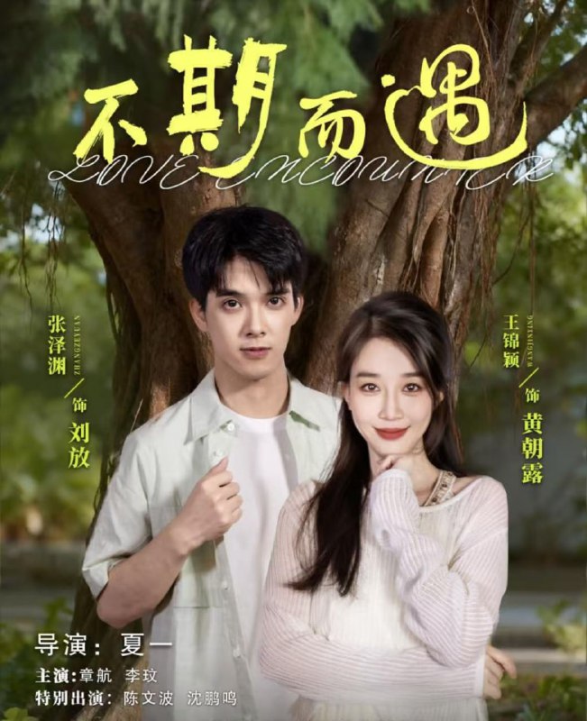 不期而遇（62集）张泽渊＆王锦颖|短剧