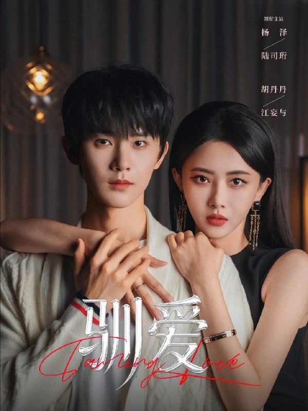 驯爱 (80集) 杨泽&胡丹丹 | 短剧