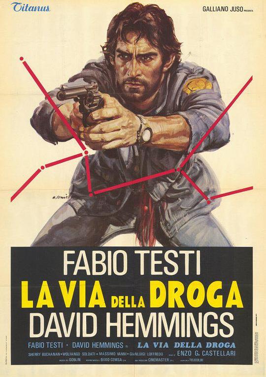 毒品之街 La via della droga (1977) 1080p 原盘Remux 【23.76GB】已刮削