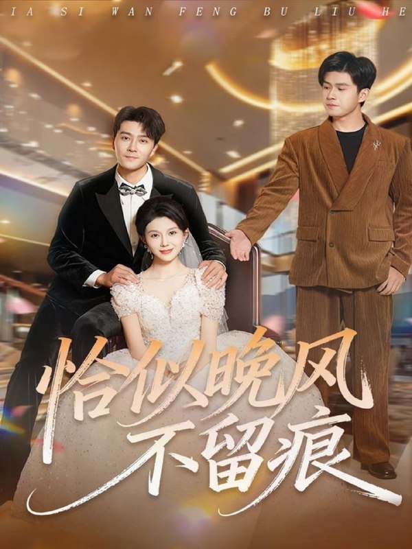 恰似晚风不留痕（61集）田不凡＆孔莹莹|短剧