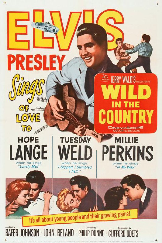乡间野趣 Wild in the Country (1961) 1080p 原盘Remux 【19.40GB】已刮削