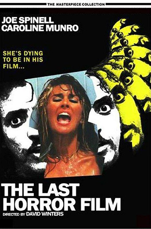 最后的恐怖电影 The Last Horror Film (1982) 1080p 原盘Remux 【20.24GB】已刮削
