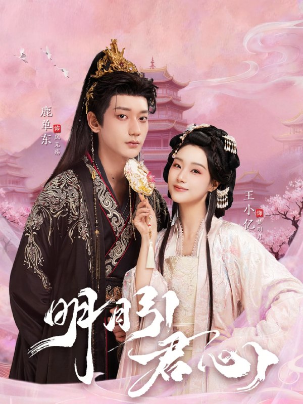 明月引君心（74集）鹿单东＆王小亿|短剧