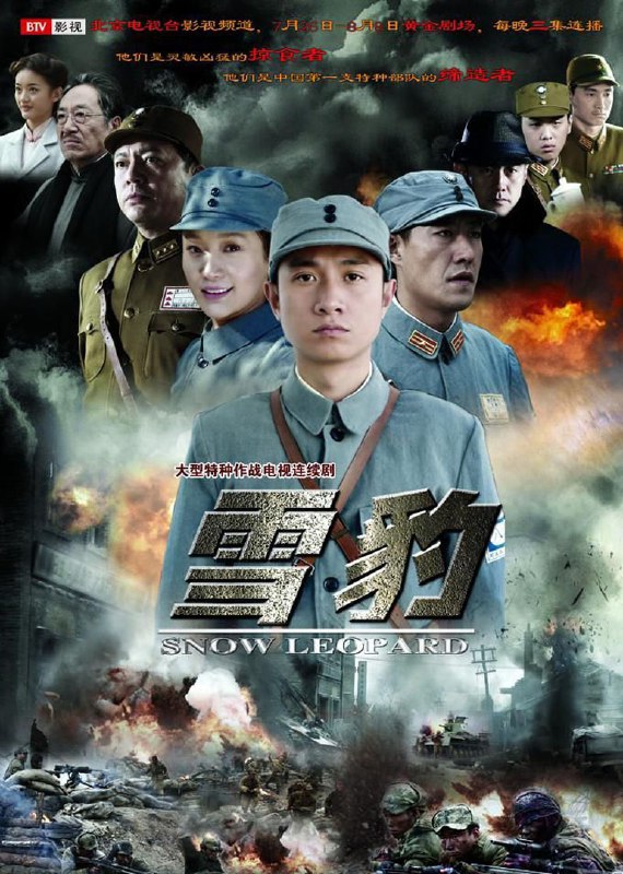 【国剧】雪豹 全40集 国语中字 2010 1080P
