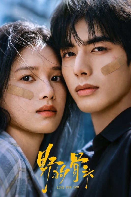 野狗骨头(2026)【更06集】【4K.高码率】【内嵌简中】【宋威龙/张婧仪】