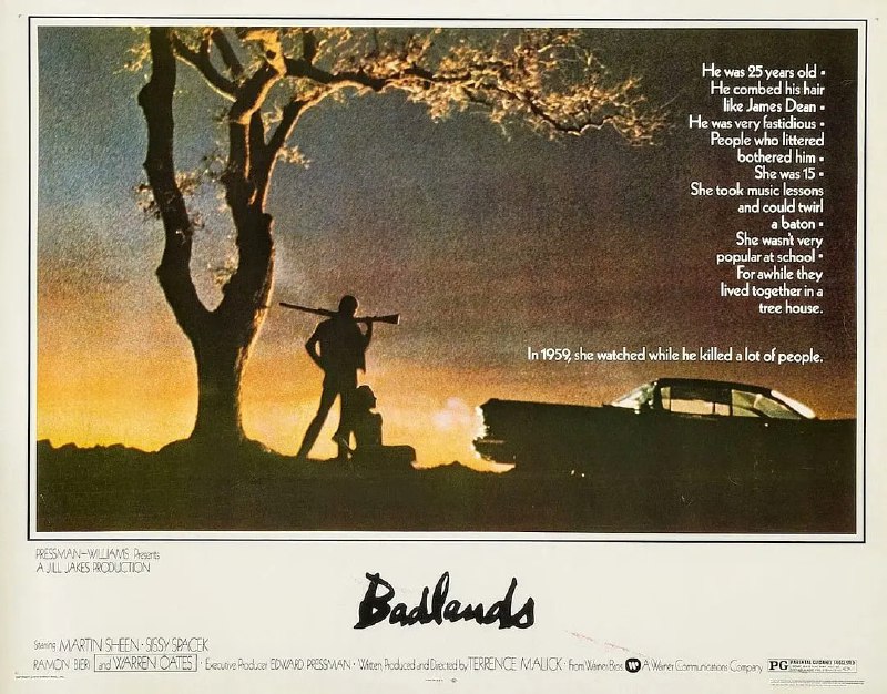 穷山恶水 Badlands (1973)