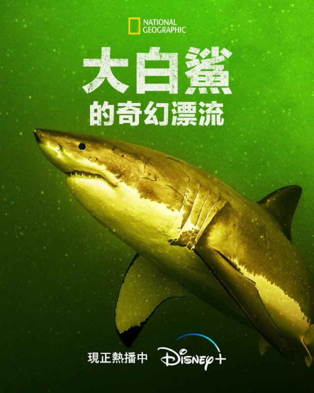 达芬奇密码 4K原盘REMUX 国英双音 特效字幕