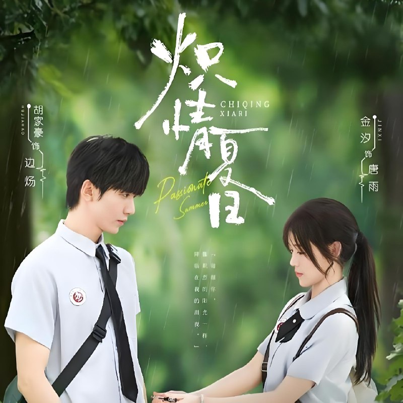 炽情夏日 (80集) 胡家豪&金汐 | 短剧