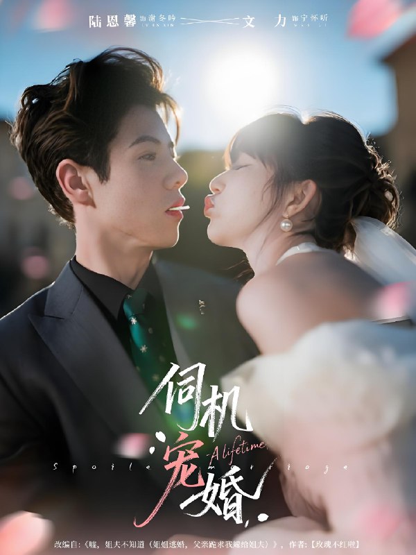 伺机宠婚 (80集) 文力&陆恩馨 | 短剧
