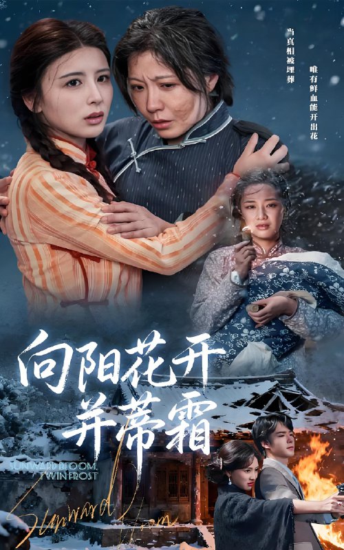 向阳花开并蒂霜 (60集) 燕颢元&李沁霏 | 短剧