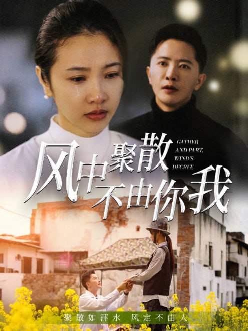 风中聚散不由你我(41集)【短剧】