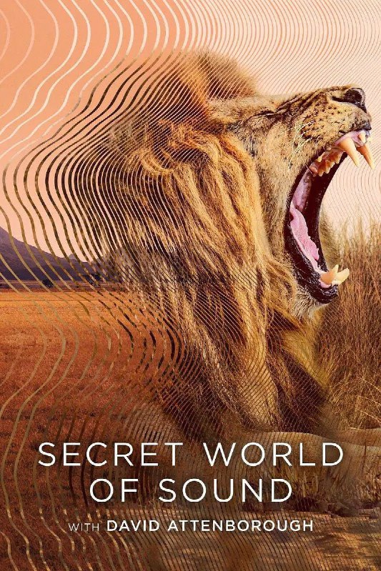 大卫·艾登堡:大自然的声音 Secret World of Sound with David Attenborough (2024)