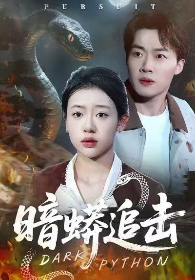 暗蟒追击（35集）王盈心＆赵文硕|短剧