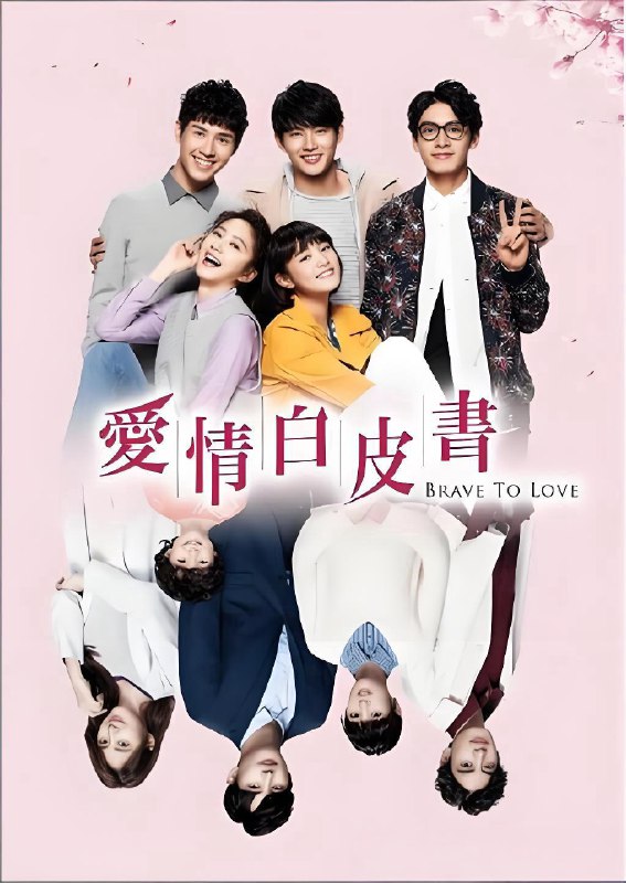 爱情白皮书 (15集) 张庭瑚&王净&台剧 | 国产剧