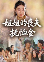 姐姐的丧夫抚恤金（40集）