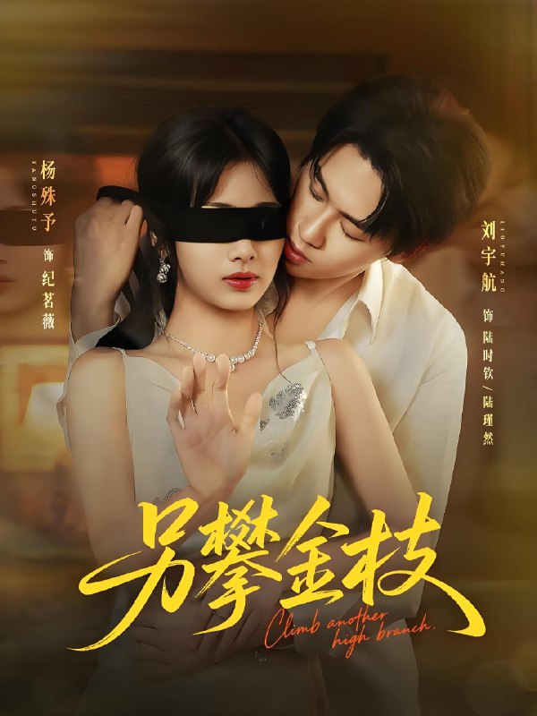 另攀金枝 (60集) 刘宇航&杨殊予 | 短剧