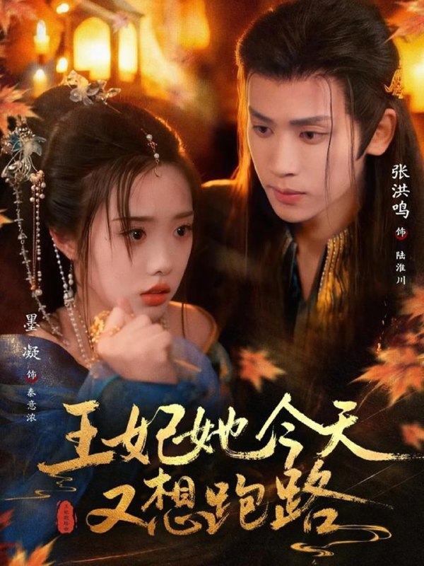 王妃她今天又想跑路（ 62 集）墨凝 & 张洪鸣