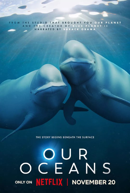 我们的海洋 Our Oceans (2024)