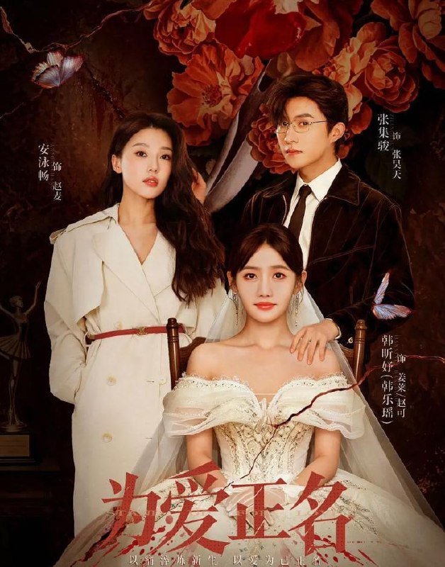 为爱正名 (2026) 更新至16集