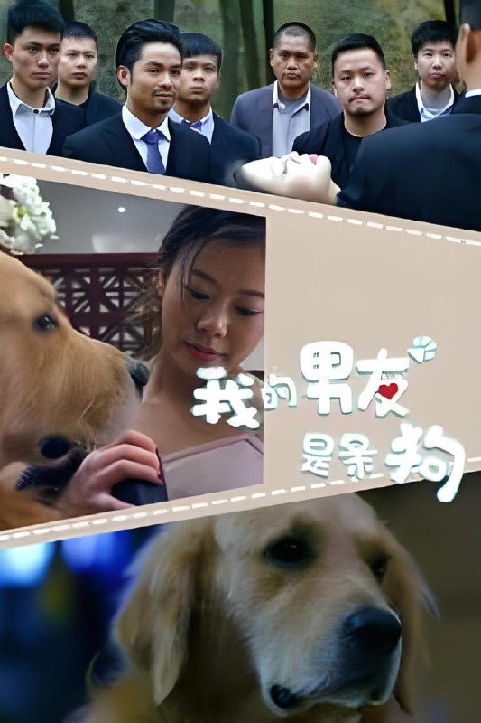 重生之我的男友是条狗 (43集) | 短剧