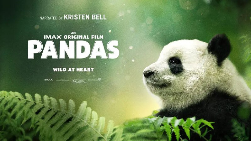 大熊猫 Pandas (2018)
