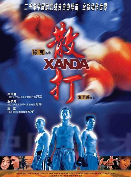 散打 (2004) 1080p 原盘Remux 中文字幕 【19.67GB】已刮削