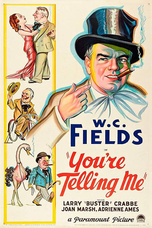 You're Telling Me (1934) 1080p 原盘Remux 【17.79GB】已刮削