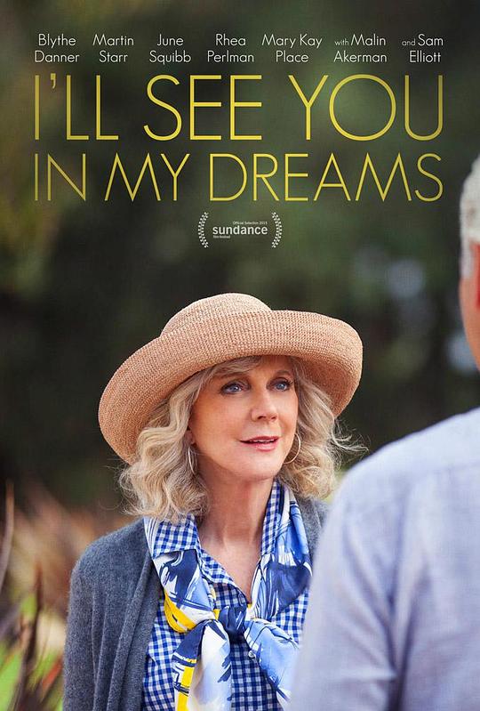 我们梦中见 I'll See You in My Dreams (2015) 1080p 原盘Remux 中文字幕 【24.23GB】已刮削