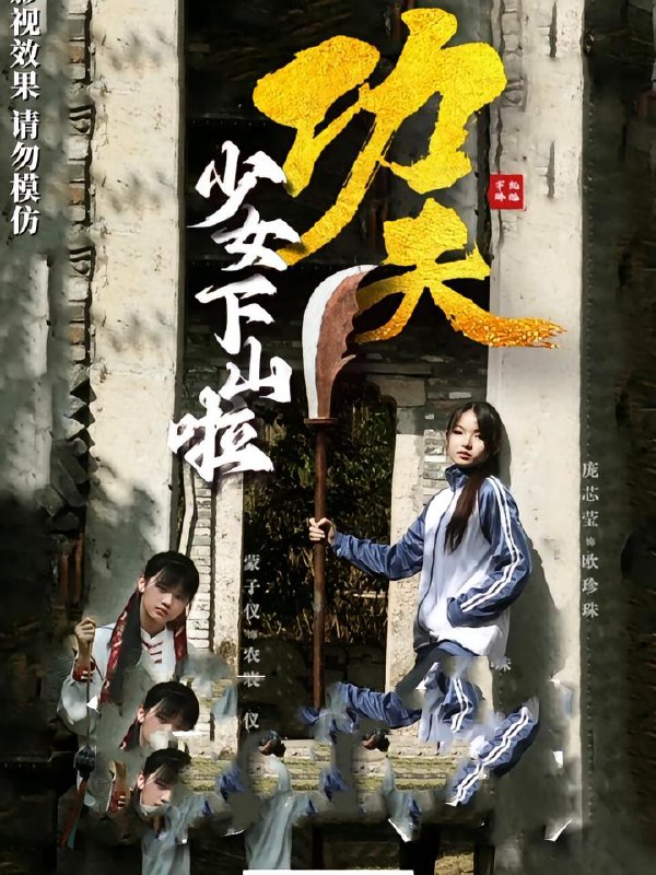 功夫少女&功夫少女下山啦(100集)