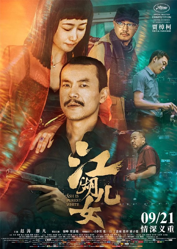 江湖儿女 (2018) 1080p 原盘REMUX 中文字幕 AVC DTS-HD MA 5.1