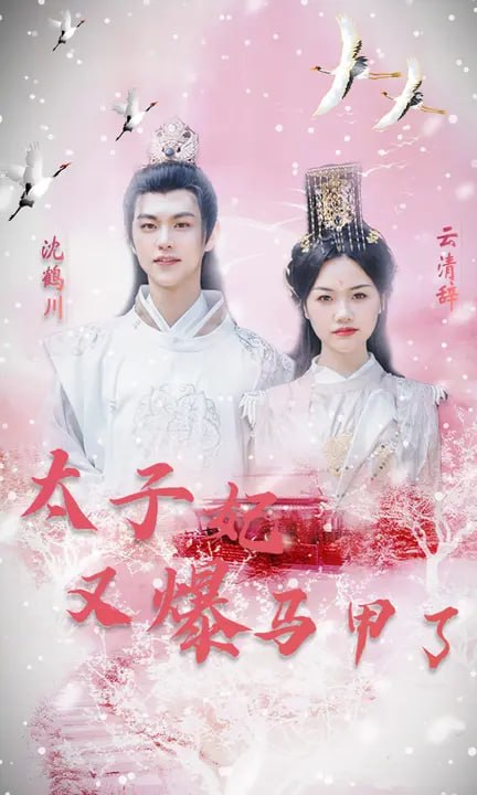 太子妃又爆马甲了（42 集）温凉 & 曹千祎