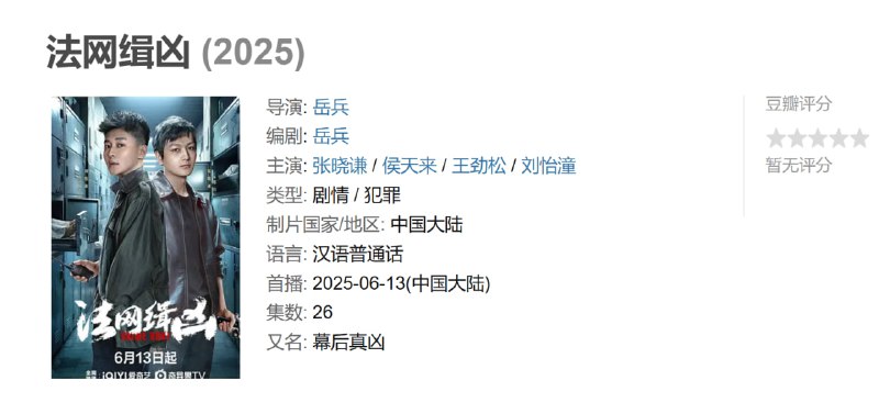 法网缉凶 (2025)